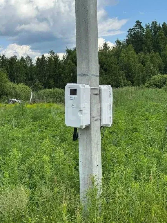 Участок в Тюменская область, Нижнетавдинский муниципальный округ, ... - Фото 1