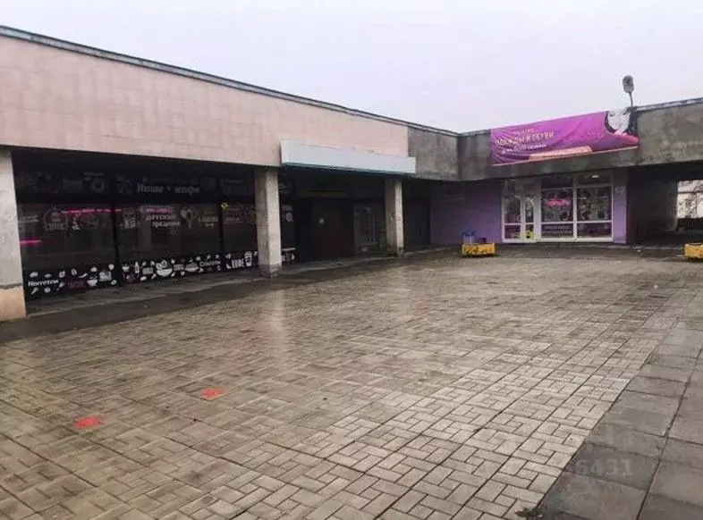 Помещение свободного назначения в Санкт-Петербург ул. Пионерстроя, 4 ... - Фото 1