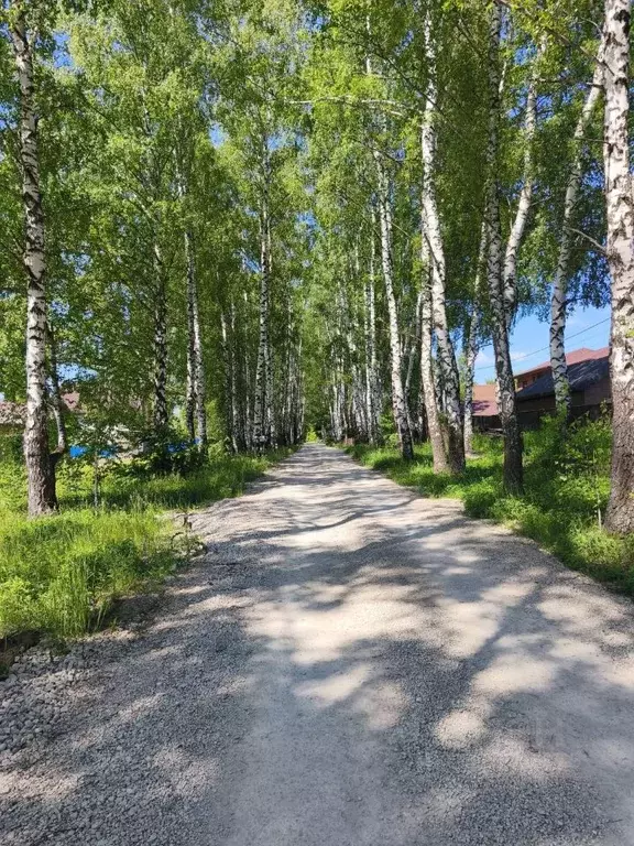 Участок в Тульская область, Тула городской округ, с. Частое ул. ... - Фото 1