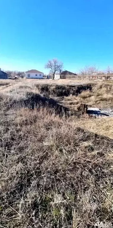 Участок в Волгоградская область, Светлоярский район, Кировское с/пос, ... - Фото 1