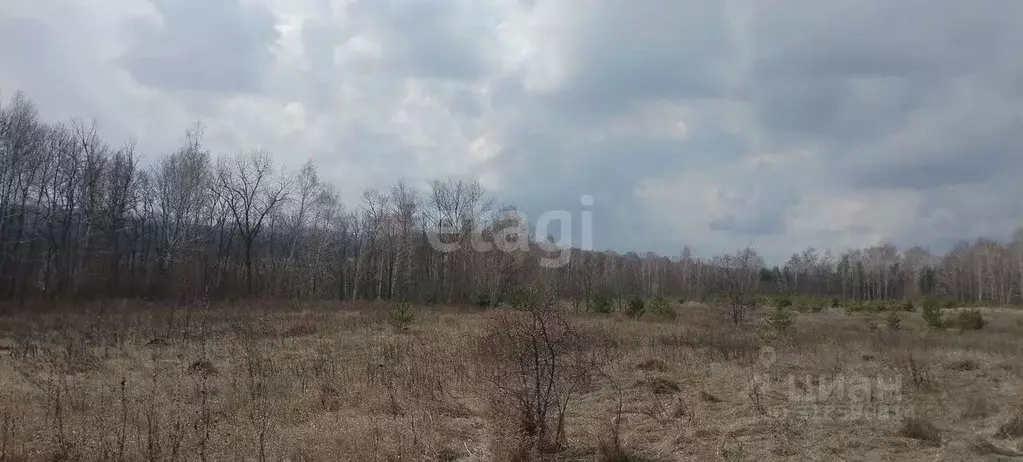 Участок в Белгородская область, Белгородский район, с. Стрелецкое 68 ... - Фото 0