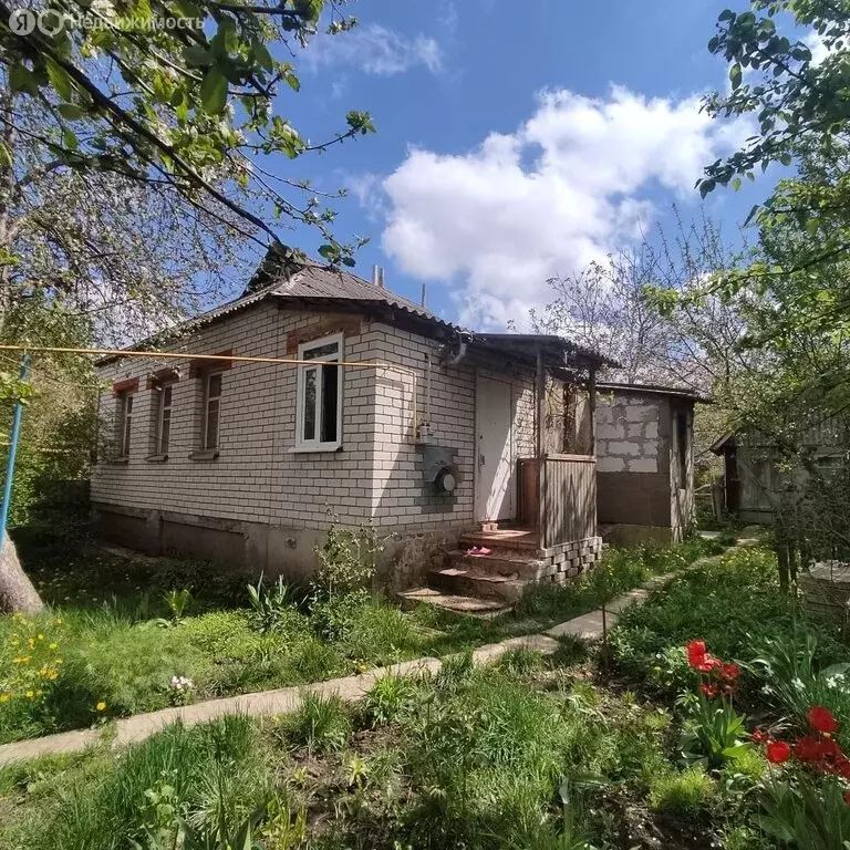 Дом в Белгородская область, Яковлевский муниципальный округ, село ... - Фото 0