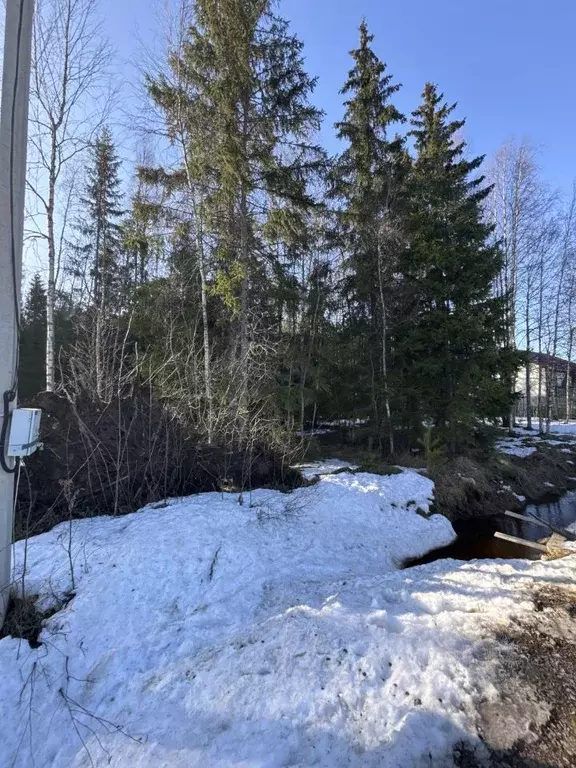 Участок в Ленинградская область, Всеволожск пер. Литературный (13.0 ... - Фото 2
