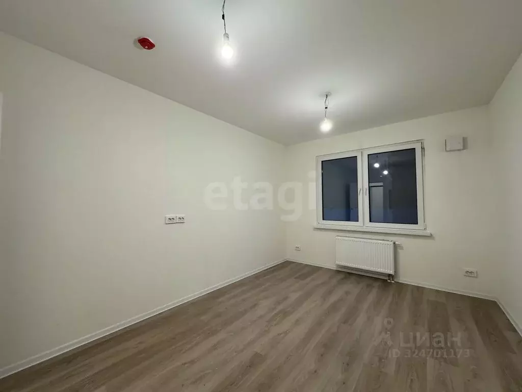 Студия Санкт-Петербург ул. Пахомовская, 10к4 (20.7 м) - Фото 1