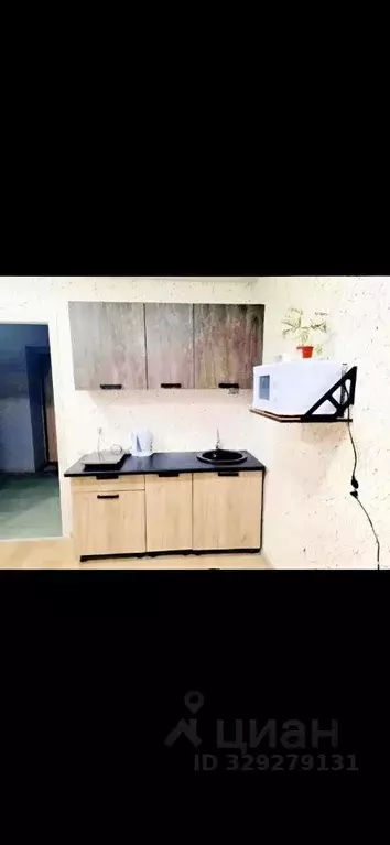 Студия Алтайский край, Новоалтайск ул. Титова, 8 (30.0 м) - Фото 2