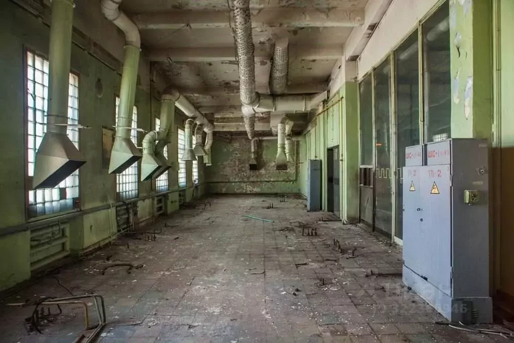 Производственное помещение в Санкт-Петербург Промышленная ул., 5 (176 ... - Фото 1