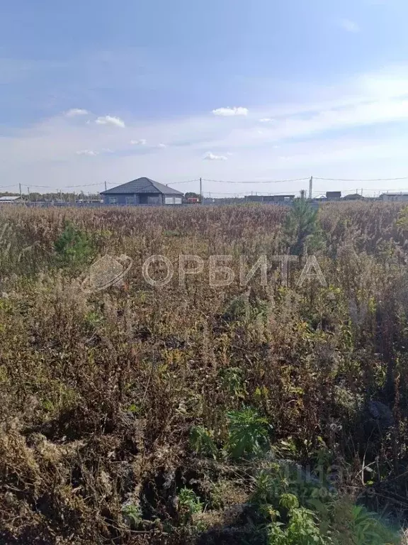 Участок в Тюменская область, Тюменский муниципальный округ, д. ... - Фото 2