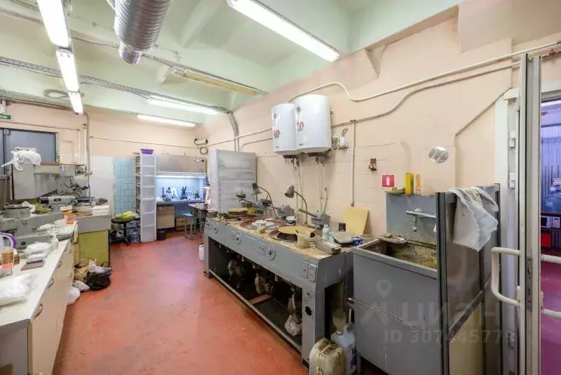 Производственное помещение в Санкт-Петербург просп. Тореза, 68Ж (388 ... - Фото 2