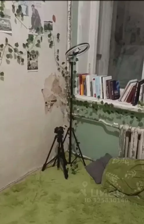 Комната Санкт-Петербург ул. Ломоносова, 14 (11.0 м) - Фото 1