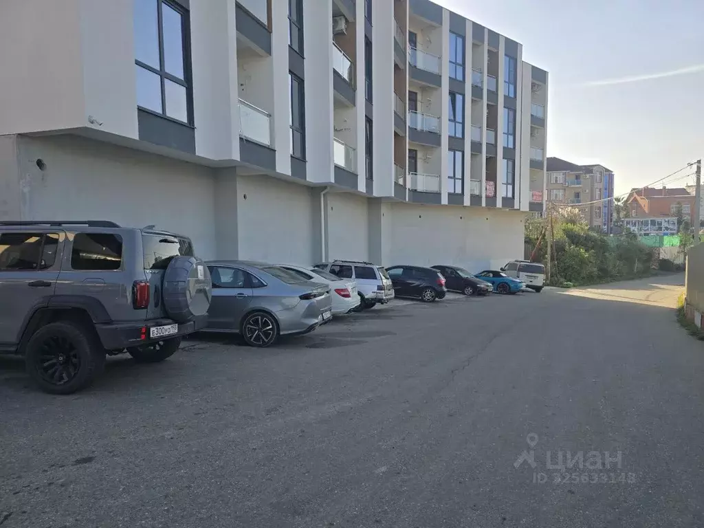 Помещение свободного назначения в Краснодарский край, Сочи Адлер ... - Фото 2