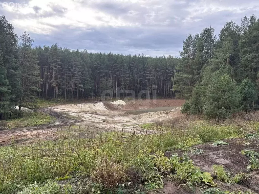 Участок в Лысые Горы, Советская улица (14.46 м) - Фото 1