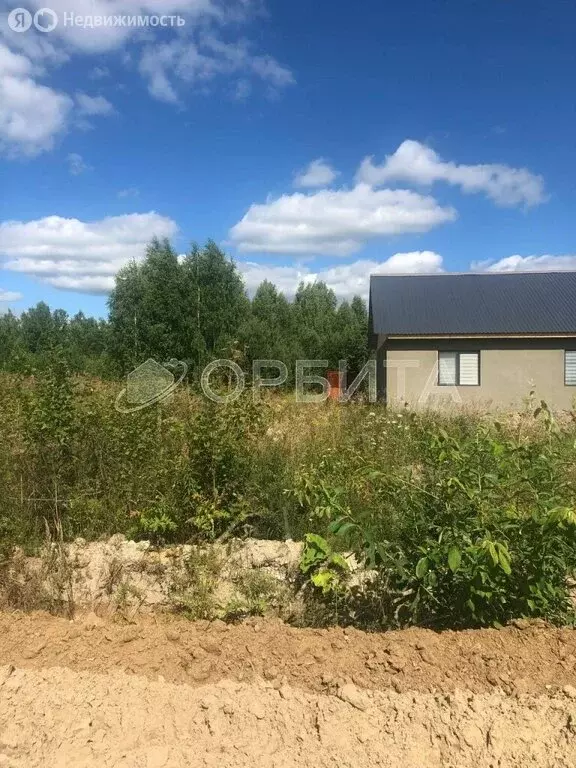 Участок в Тюменская область, село Нижняя Тавда (15 м) - Фото 1