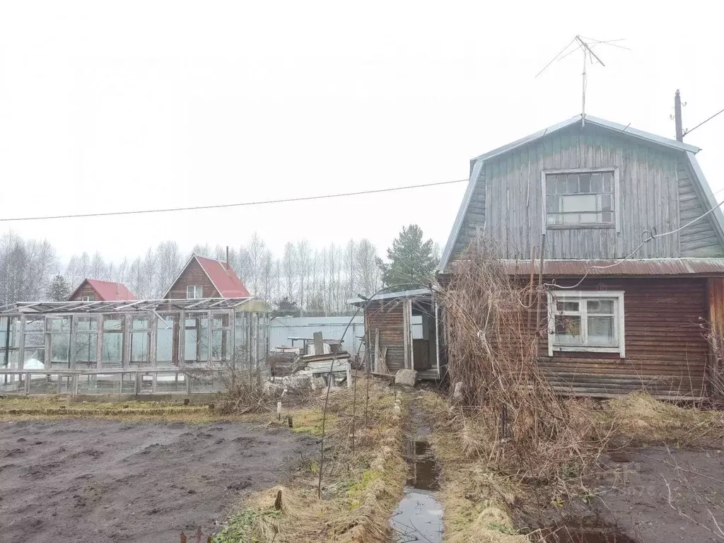 Участок в Кировская область, Юрьянский район, Загарское с/пос, Березка ... - Фото 2