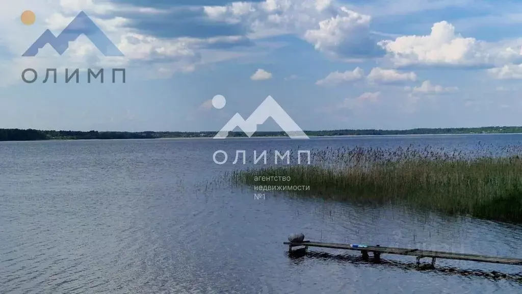 Участок в Вологодская область, Кирилловский муниципальный округ, д. ... - Фото 0