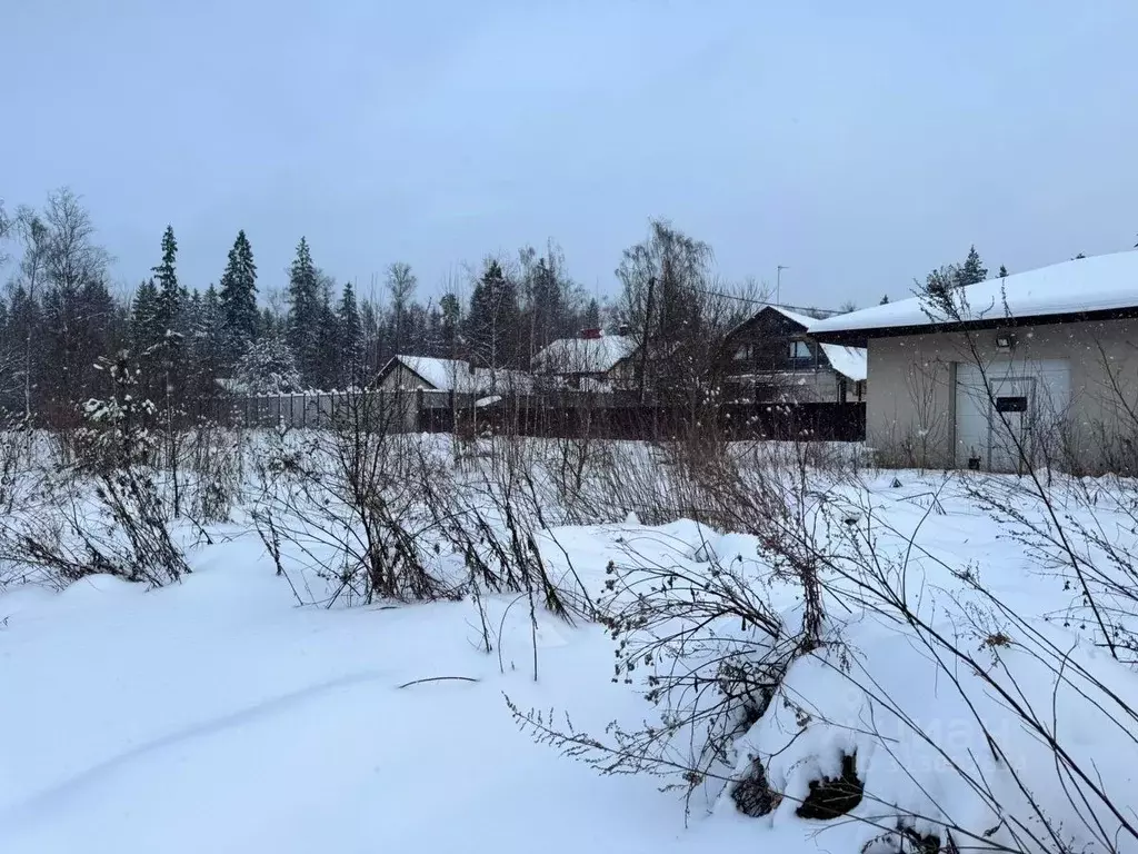 Участок в Московская область, Солнечногорск городской округ, с. ... - Фото 1