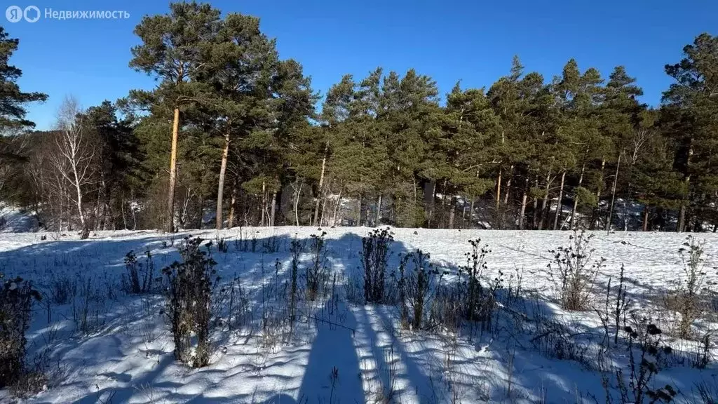 Участок в Чемальский район, Элекмонарское сельское поселение, село ... - Фото 1