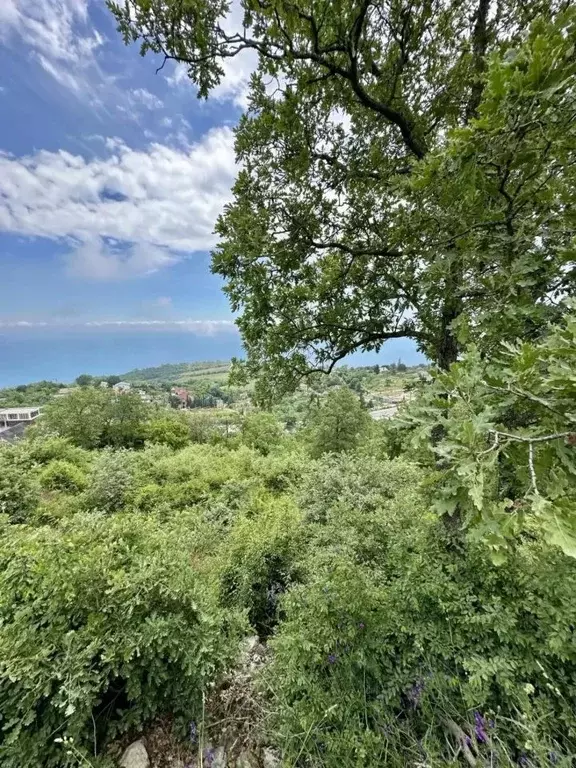 Участок в Крым, Алушта муниципальный округ, с. Кипарисное  (15.0 сот.) - Фото 1
