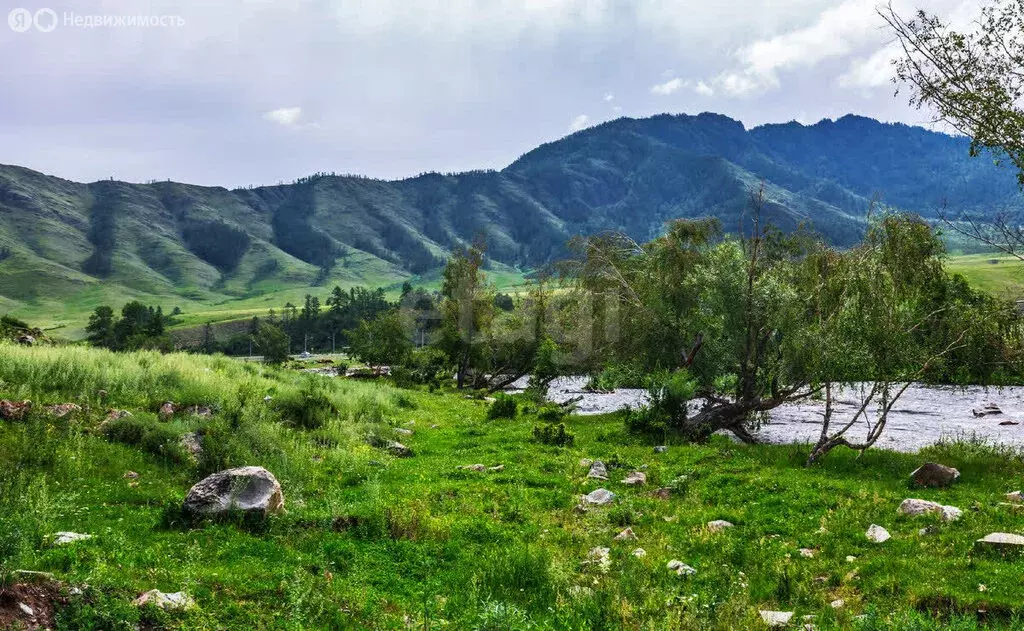 Участок в Онгудайский район, Р-256 Чуйский тракт, 625-й километр (46 ... - Фото 2
