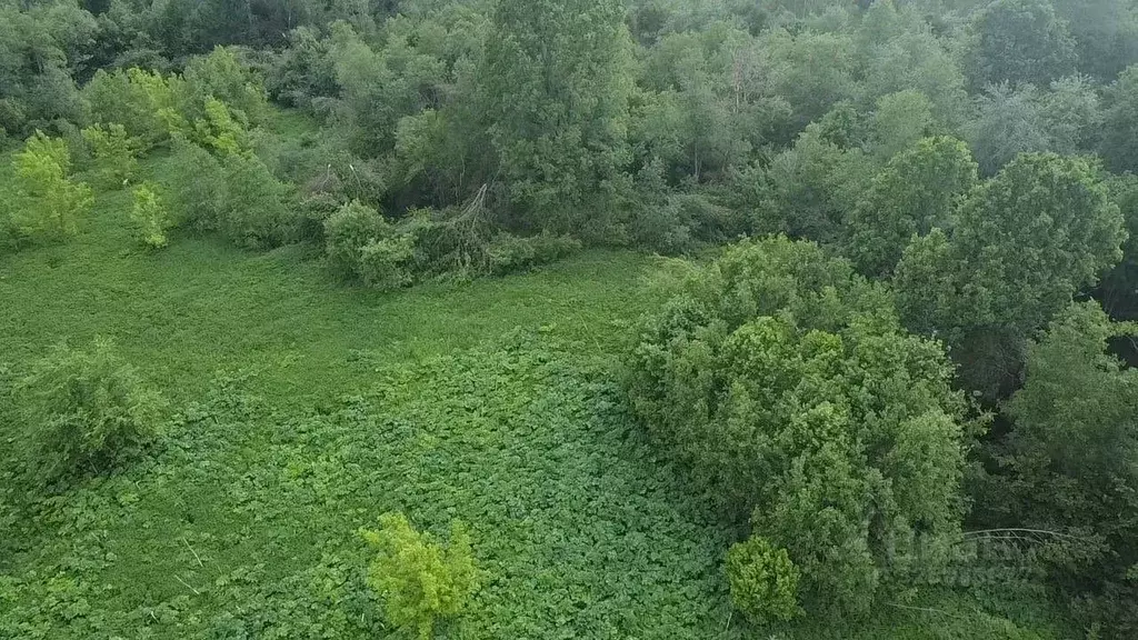 Участок в Московская область, Волоколамский муниципальный округ, д. ... - Фото 1