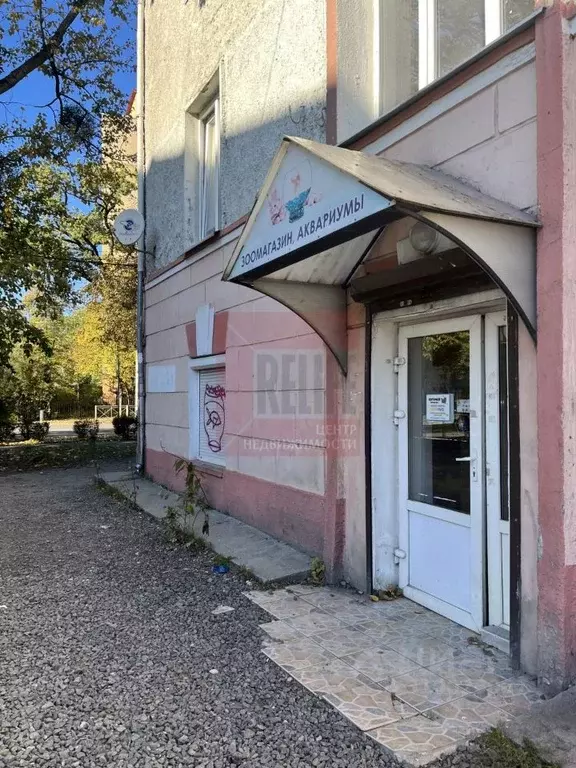 Помещение свободного назначения в Калининградская область, Калининград ... - Фото 1