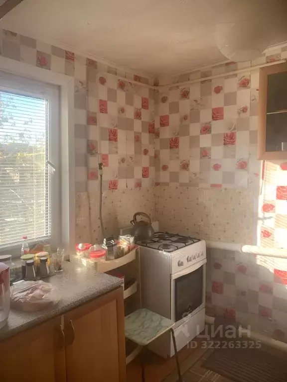 Дом в Оренбургская область, Орск пос. Казачий, ул. Весенняя (55 м) - Фото 1