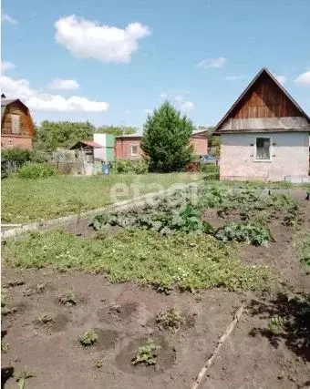 Дом в Омская область, Омск СОСН Газовик-1 тер., 303 (20 м) - Фото 1
