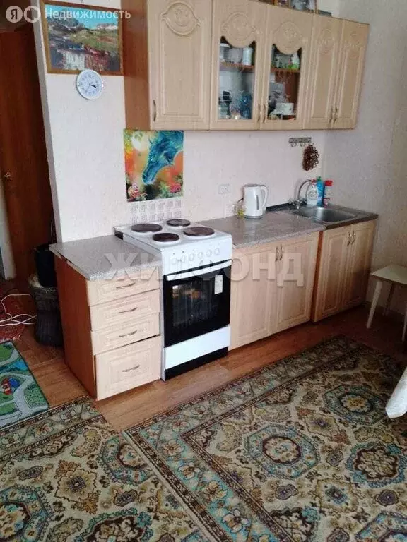 Квартира-студия: Новосибирск, Воскресная улица, 37/1 (28 м) - Фото 0
