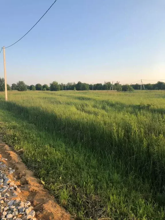 Участок в Московская область, Раменский муниципальный округ, ... - Фото 1