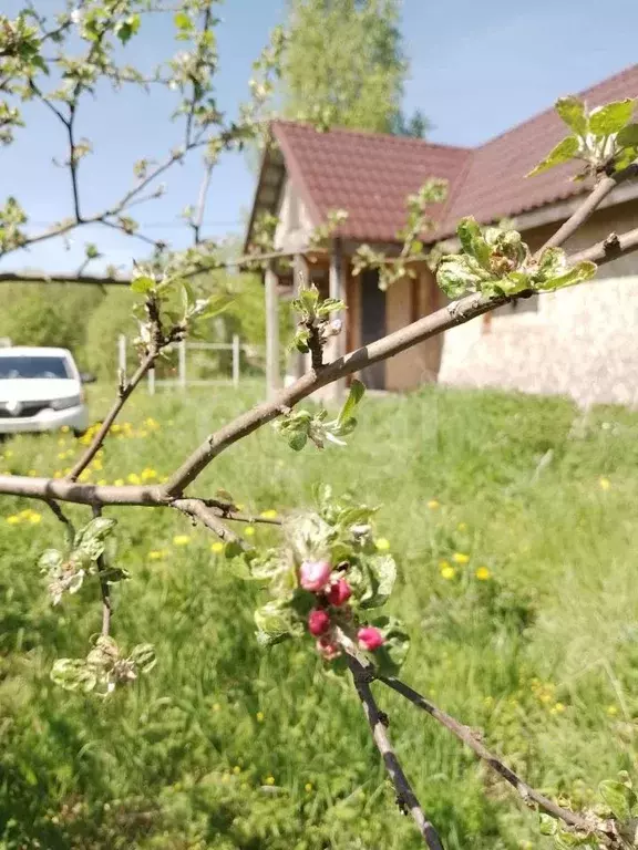 Участок в Московская область, Сергиево-Посадский городской округ, д. ... - Фото 0