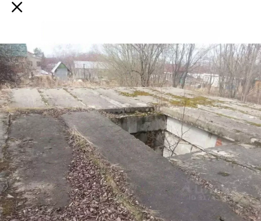 Участок в Нижегородская область, Нижний Новгород д. Голошубиха, 345 ... - Фото 1