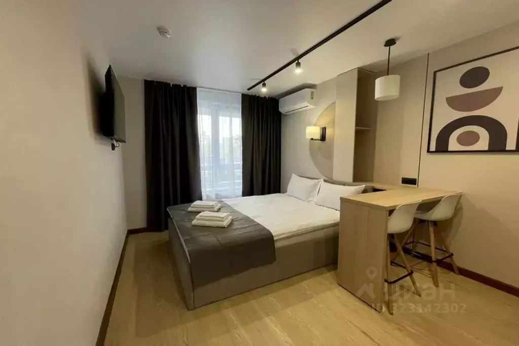 1-к кв. Алтайский край, Барнаул ул. Димитрова, 126 (29.0 м) - Фото 1