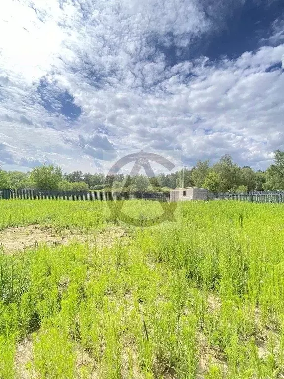 Участок в Московская область, Щелково городской округ, д. Орлово  (6.0 ... - Фото 0