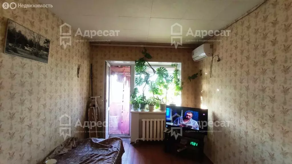 1-комнатная квартира: Волгоград, микрорайон Тулака, Аджарская улица, ... - Фото 1