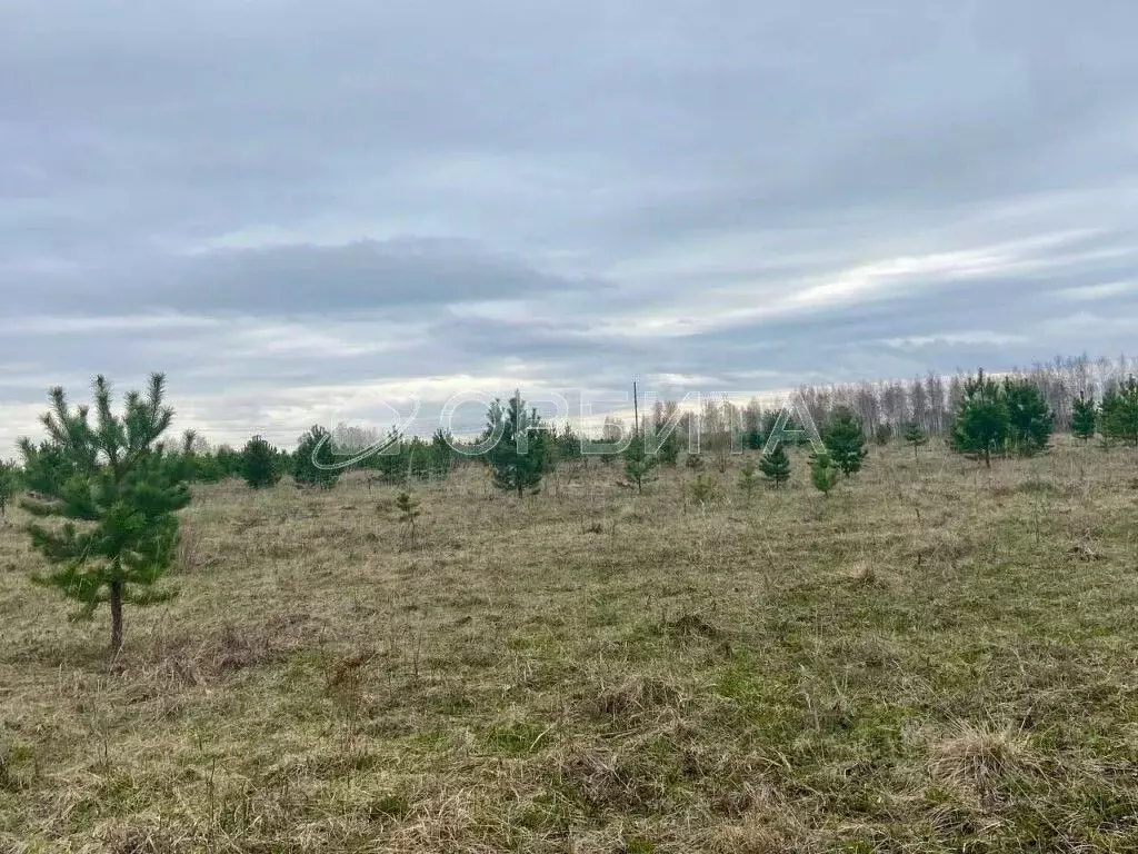 Участок в Тюменская область, Тюменский район, д. Елань  (5.09 сот.) - Фото 0