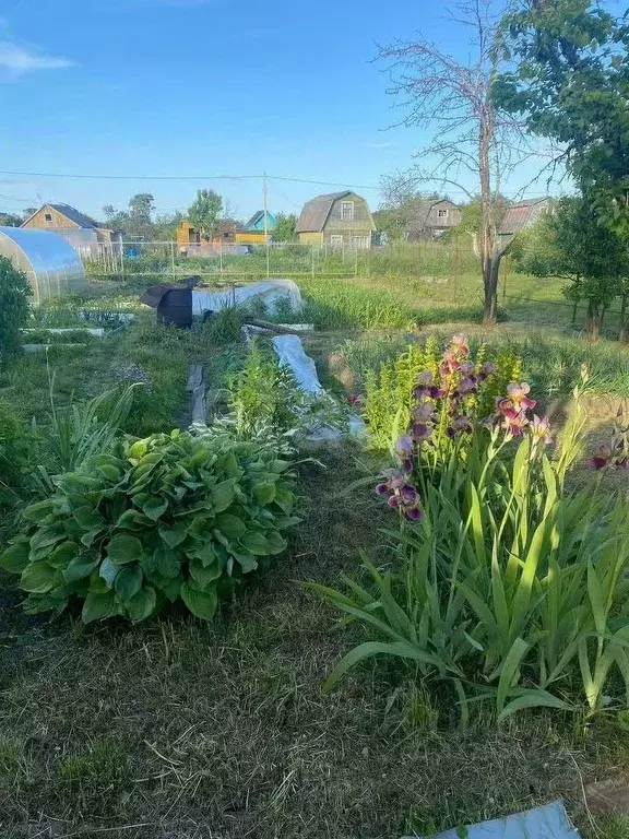 Дом в Ярославская область, Рыбинск Полиграфист-3 СНТ, 129 (45 м) - Фото 0