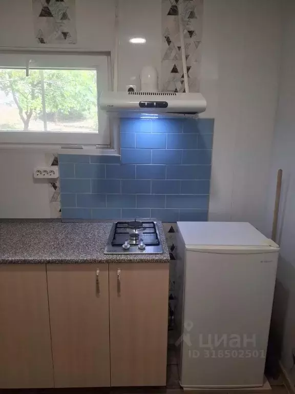 Дом в Краснодарский край, Сочи городской округ, с. Богушевка, Россия ... - Фото 0