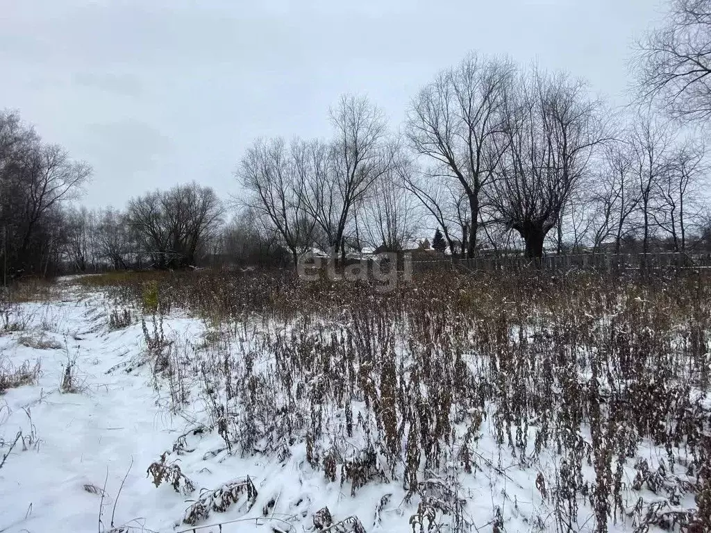 Участок в Московская область, Луховицы городской округ, д. Выкопанка  ... - Фото 0