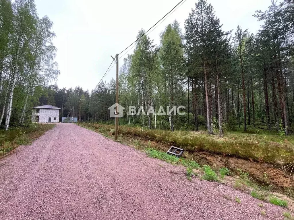 Участок в Ленинградская область, Выборгский район, Рощино пгт проезд ... - Фото 2