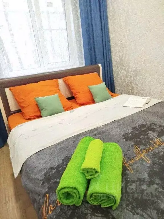 1-к кв. Псковская область, Псков Юбилейная ул., 83А (43.0 м) - Фото 2