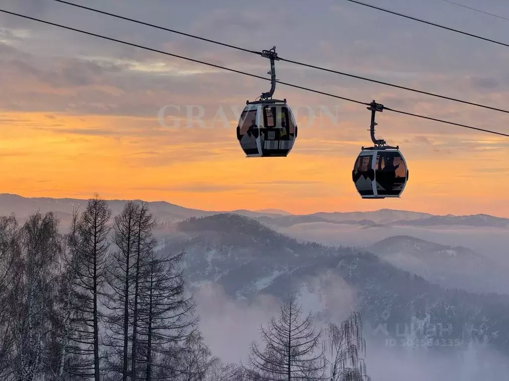 Участок в Алтай, Майминский район, с. Озерное ул. Таежная (39.3 сот.) - Фото 1