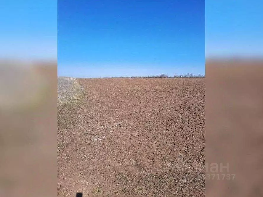 Участок в Ростовская область, Орловский район, Каменно-Балковское ... - Фото 1