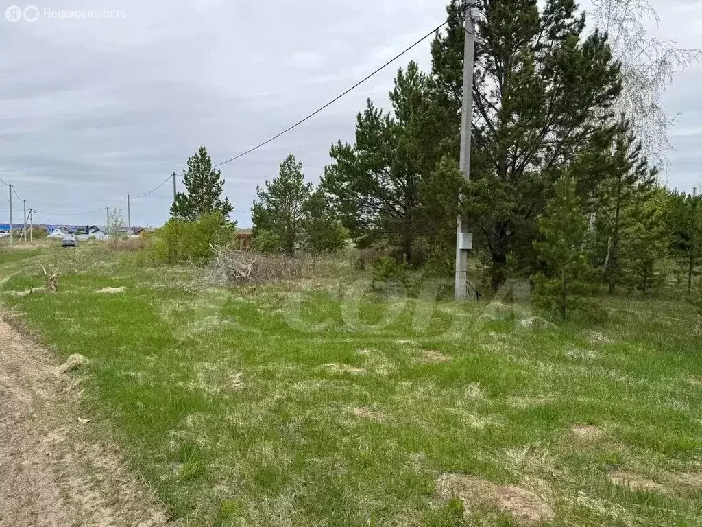 Участок в Тюменский муниципальный округ, село Успенка (15.2 м) - Фото 1