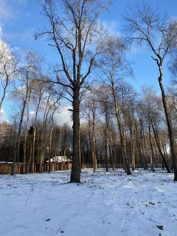 Участок в Московская область, Химки Новогорск мкр,  (15.0 сот.) - Фото 0