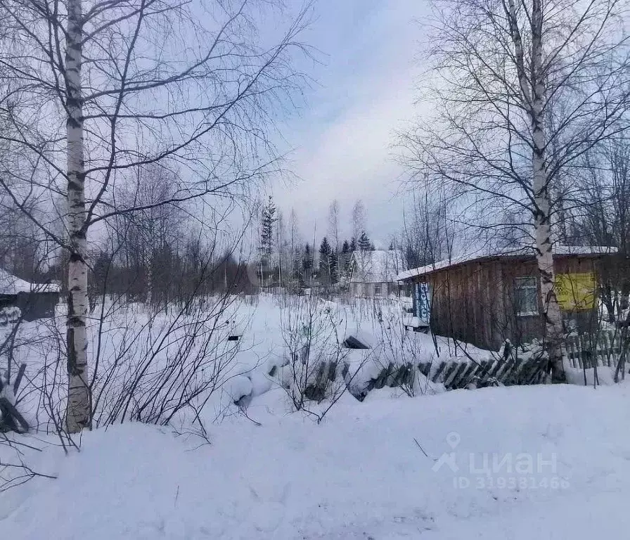 Участок в Коми, Сыктывдинский район, Выльгорт муниципальное ... - Фото 1