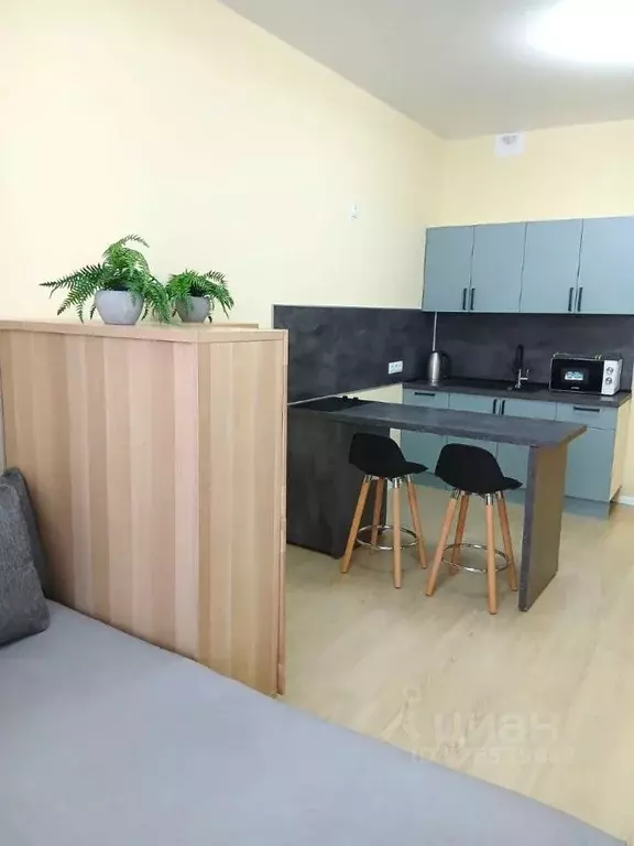 Студия Москва ул. Медовая Долина, 3к1 (28.0 м) - Фото 1