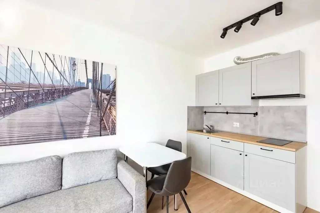 Студия Москва Боровское ш., 2к5 (22.5 м) - Фото 2