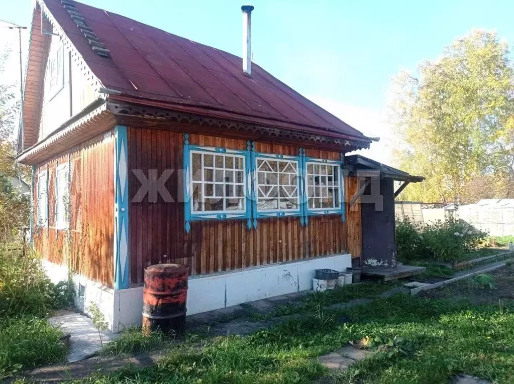 Дом в Новосибирская область, Коченевский район, Виктория СНТ  (55 м) - Фото 2