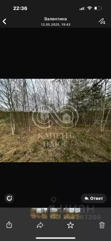 Участок в Сахалинская область, Корсаков  (8.0 сот.) - Фото 1