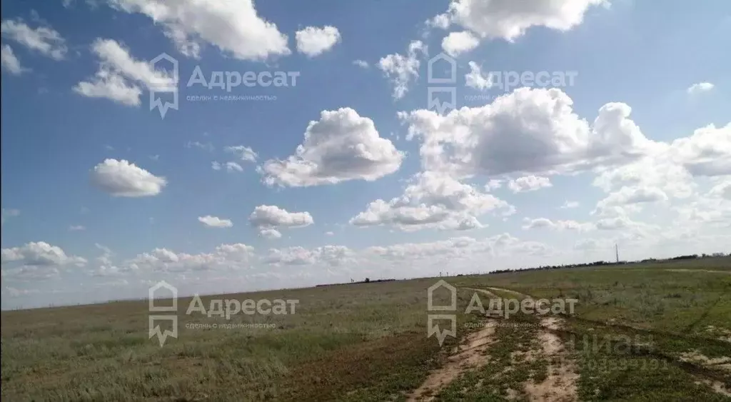 Участок в Волгоградская область, Среднеахтубинский район, ... - Фото 0