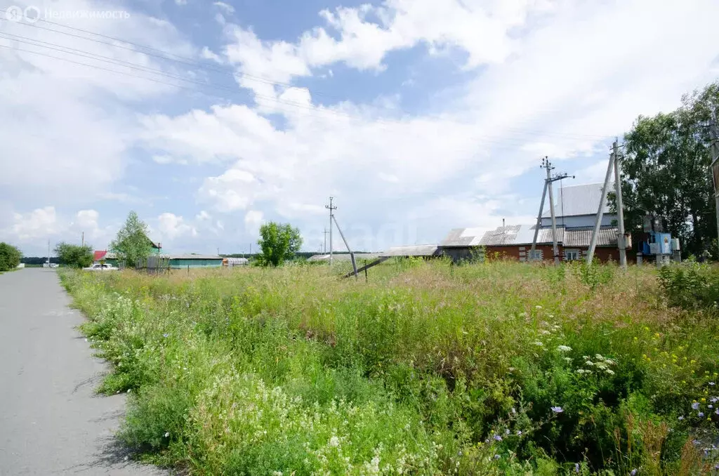 Участок в Тюменская область, Заводоуковский муниципальный округ, ... - Фото 2